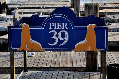 California seal lion viewing at pier 39, san francisco bay