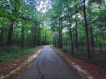 Road amidst trees in forest