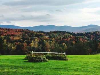 Scenic view of field and mountains against sky