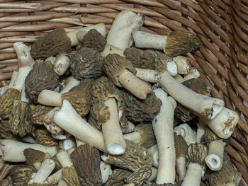 High angle view of mushrooms in basket