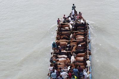 High angle view of people enjoying at sea