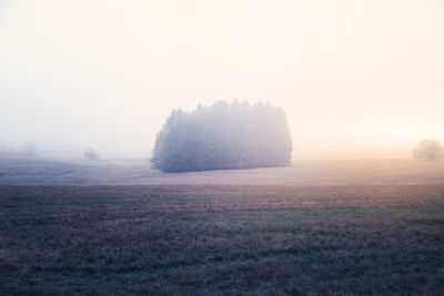 Scenic view of field against sky during foggy weather