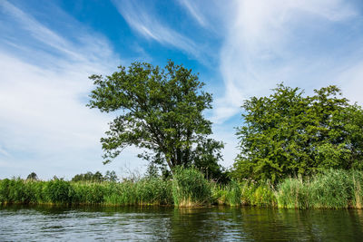 Scenic view of lake by trees against sky