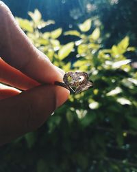 Close-up of hand holding heart shaped ring