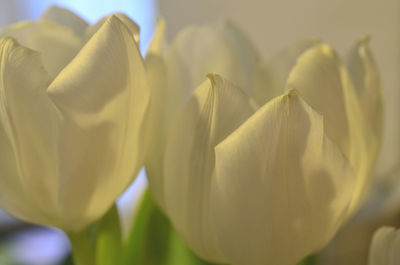 Close up of yellow fabric