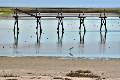 Reflection of wooden posts in lake against sky