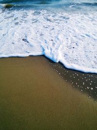 Scenic view of beach