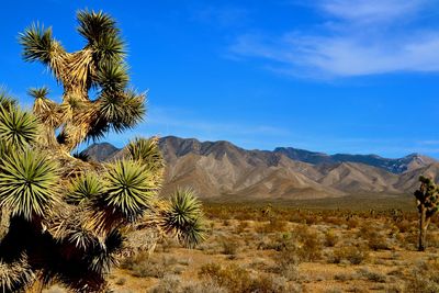 Scenic view of rocky mountains against blue sky