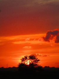 Silhouette trees against dramatic sky during sunset