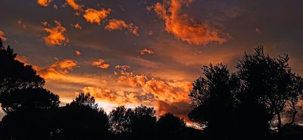 Low angle view of silhouette trees against sky during sunset