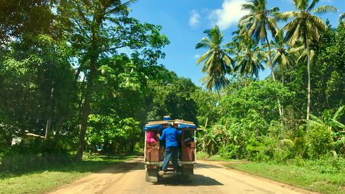Rear view of people walking on road