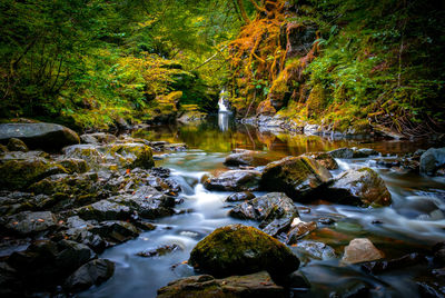 Stream flowing through rocks in forest