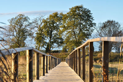 Footbridge amidst trees against sky