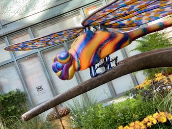 Low angle view of multi colored umbrellas on building