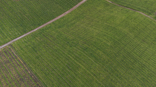 High angle view of soccer field