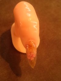 Close-up of jellyfish