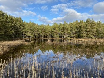 Scenic view of lake against sky