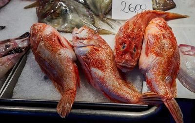 Close-up of fish for sale in market