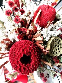 Close-up of red flowers