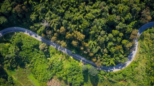 Aerial view mountain paths rural road between the city at doi chang chiang rai thailand