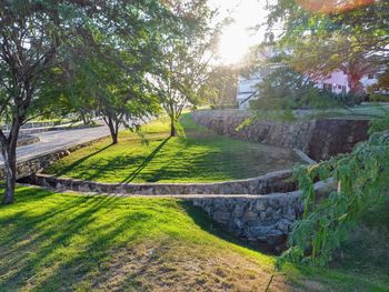 Scenic view of park against sky