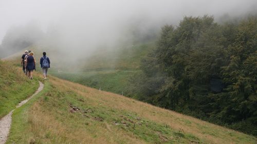 Rear view of people walking on plants