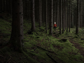 Man with headlamp standing in dark forest