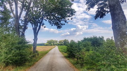 Empty road along plants and trees against sky