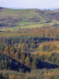 High angle view of trees on field during autumn