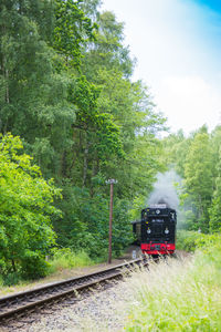 Train on railroad track amidst trees against sky