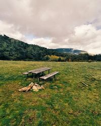 Scenic view of grassy field against sky