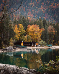 Scenic view of lake in forest during autumn