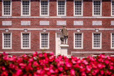 Statue of red flowering plant against building