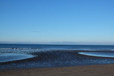 Scenic view of sea against clear blue sky