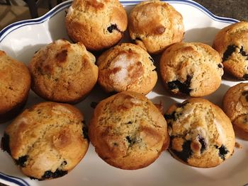 Close-up of cookies in plate