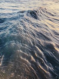 ocean
