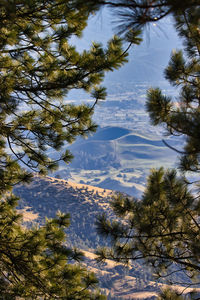 High angle view of trees on snow covered land