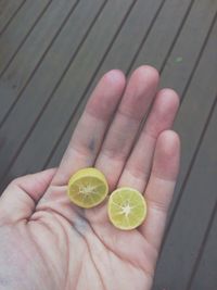 Close-up of cropped hand holding plant