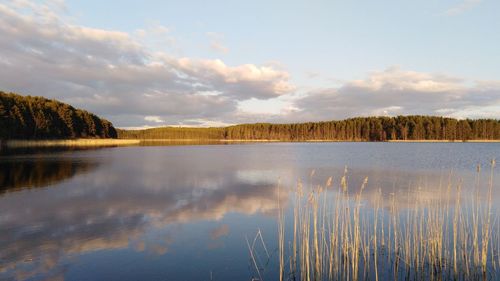 Scenic view of lake by trees against sky