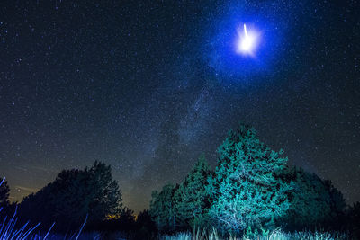 Low angle view of trees against sky at night