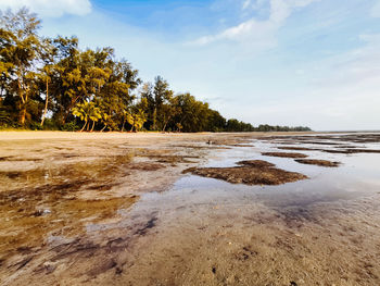 Scenic view of beach against sky