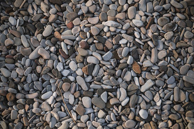 Texture stones of different sizes on the seashore