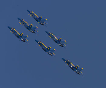 Low angle view of birds flying against clear blue sky