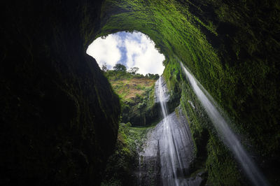 Scenic view of waterfall