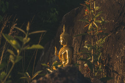 Statue amidst trees against plants