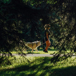 Side view of young woman with dog walking in park