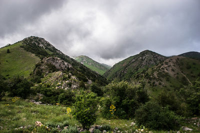 nature