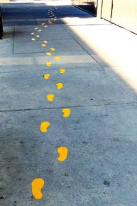 High angle view of yellow petals on road