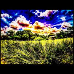 Scenic view of field against cloudy sky