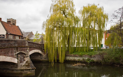 Scenic view of river by trees against sky
